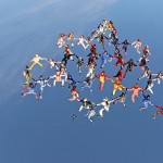Symbolfoto-02