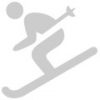 Ski-Icon